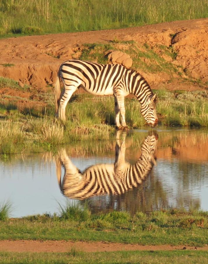 Letsatsi Game Lodge Smithfield 외부 사진