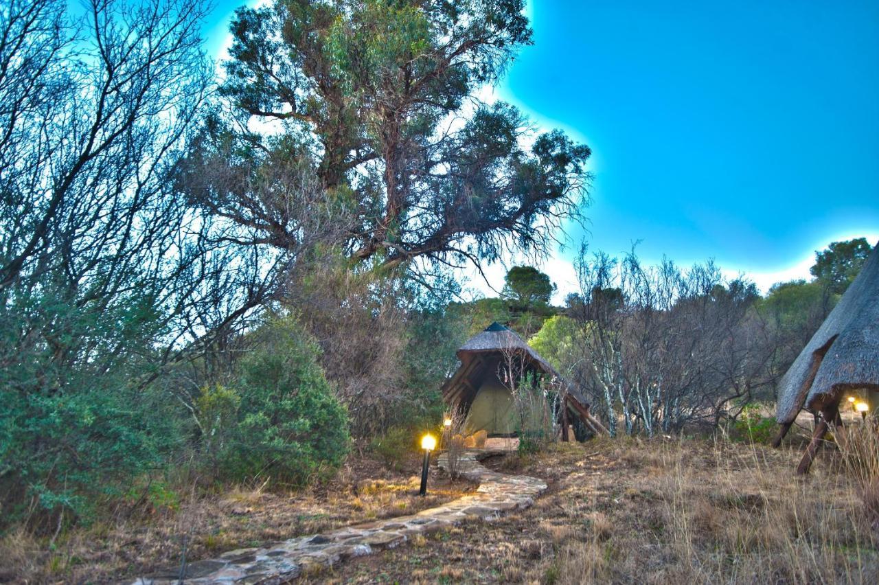 Letsatsi Game Lodge Smithfield 외부 사진
