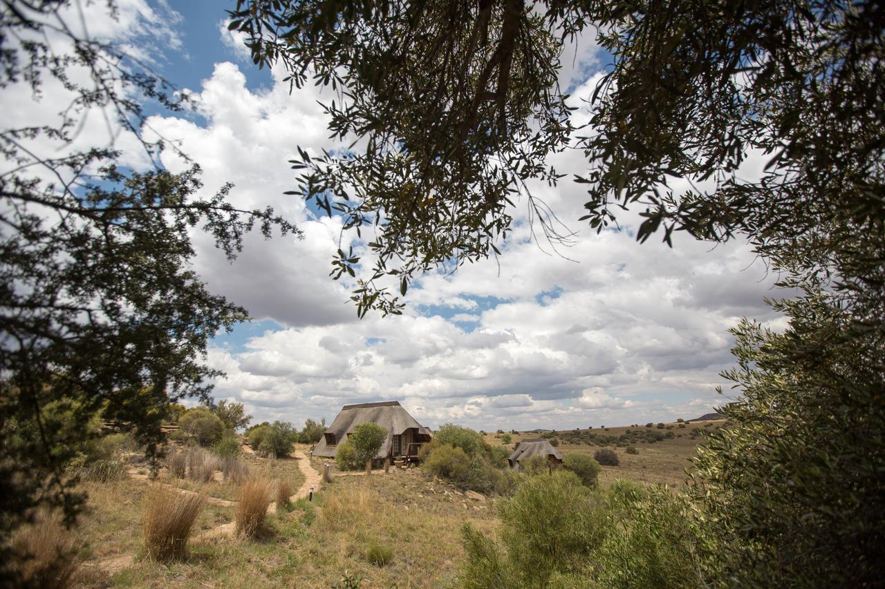 Letsatsi Game Lodge Smithfield 외부 사진
